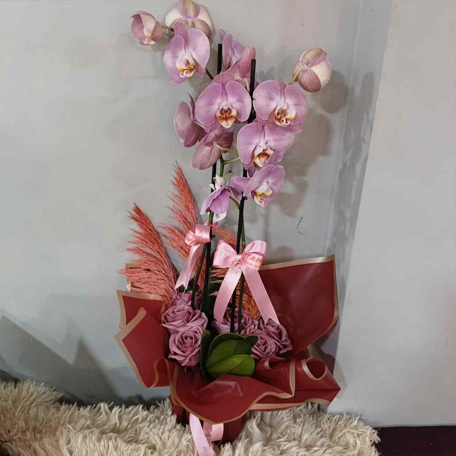 Saksıda zarif orkide aranjmanı – En İyisi Çiçek, Bursa