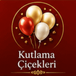 bursa en iyisi çiçek kutlama çiçekleri