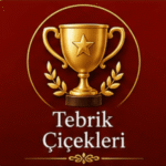 bursa en iyisi çiçek tebrik çiçekleri