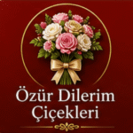 özür dilerim çiçekleri bursa en iyisi çiçek
