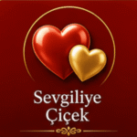 sevgiliye çiçek bursa en iyisi çiçek